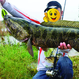 CISEA F35 frog lure กบยาง ปลากัด เหยื่อตกปลา เหยื่อยาง กบกระโดด ตกปลา กบส่าย 4cm 5g