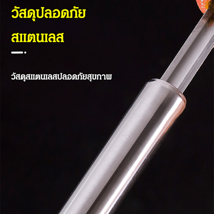 ที่เจาะแกนผลไม้ อเนกประสงค์ สแตนเลสอย่างดี เครื่องมือแกะเมล็ดแอปเปิ้ล พุทราจีน เงาะ ใช้งานง่าย จับถนัดมือ 1 ชุด 4 ขนาด - รูปที่ 5