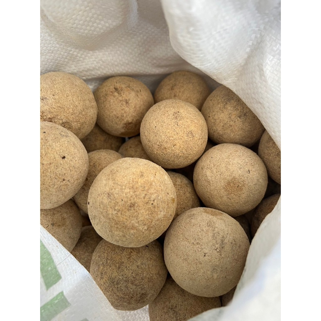 EM Ball อีเอ็มบอล 50 ลูกหัวเชื้อ ช่วยบำบัดน้ำเสีย ดับกลิ่นน้ำเน่าเสีย ส่งทุกวัน