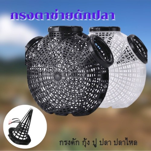 อุปกรณ์ดักปลา มุ้งดักปลา ตาข่ายดักปลา ที่ดักปลา กรงดักปลา กระชังปลา G0120 ราคา ถูกที่สุด ดีลบีเคเค แกลเลอรีภาพที่ 3