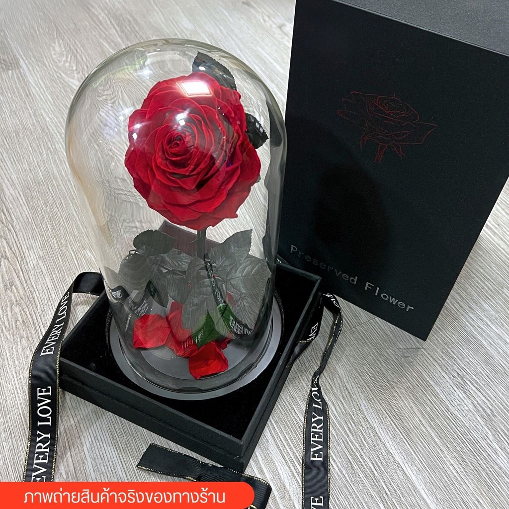 (ส่งด่วน) เคลียร์สต็อค กุหลาบอมตะในโหลแก้ว ลดพิเศษสุดๆ Preserved Rose ทำจากกุหลาบจริง ฟรี กล่องโบว์ถุง ครบเซ็ต - รูปที่ 5