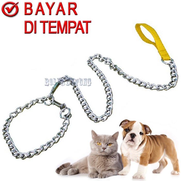 สัตว์ OTER CAT FOX DOG CHAIN