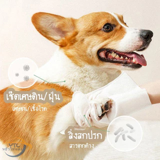 YTL ถุงมืออาบน้ำแมว 6ชิ้น/ซอง ถุงมืออาบน้ําสุนัข แชมพูหมา อาบน้ําแห้งแมว ทำความสะอาดและดับกลิ่น