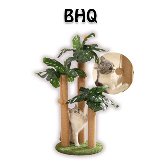 BHQ ลับเล็บแมว เสาลับเล็บแมวได้ ของเล่นแมว เสาฝนเล็บแมว ที่ร…