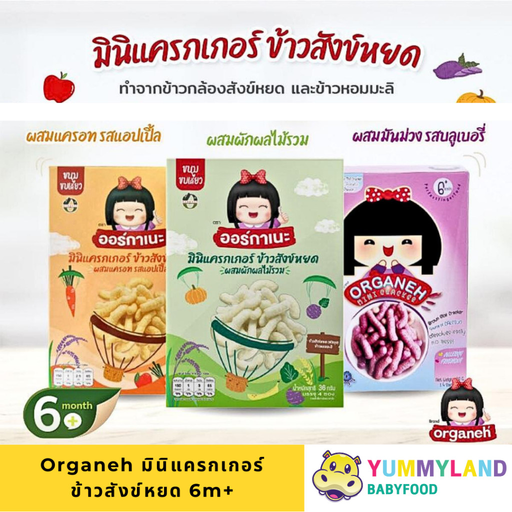 Organeh มินิแครกเกอร์ ข้าวสังข์หยด ขนมเด็ก 6 เดือนขึ้นไป ละลายง่าย BLW by yummyland_Babyfood