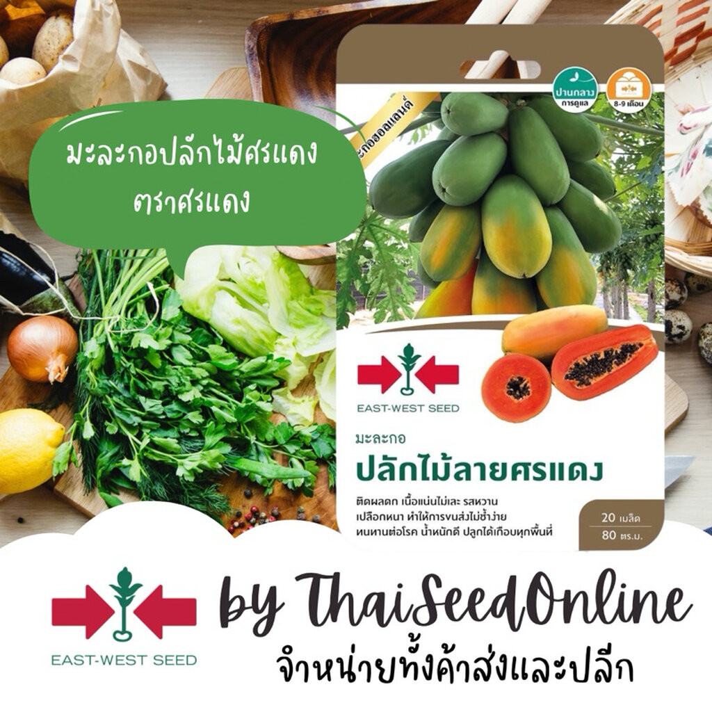 Sorndang(ศรแดง) GGEW เมล็ดพันธุ์ มะละกอฮอลแลนด์ ปลักไม้ลายศรแดง ประมาณ 20 เมล็ด ตราศรแดง Holland Papaya