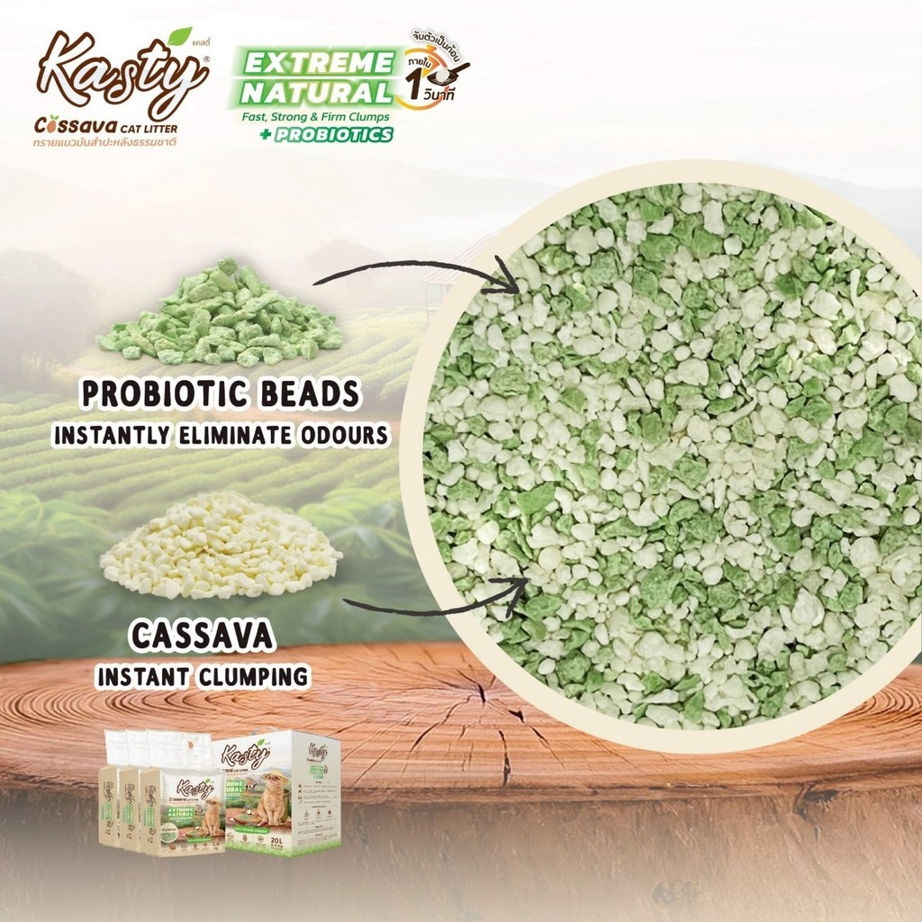 รูปภาพ 8