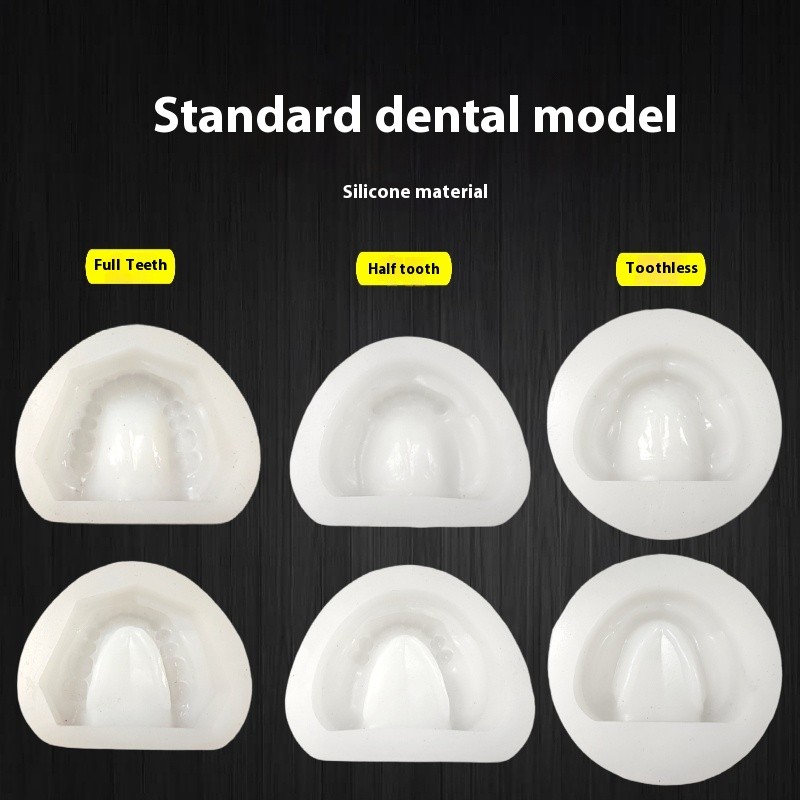 2 ชิ้นฟันเต็มครึ่งฟันทันตกรรมปูนปลาสเตอร์รุ่น Mould ซิลิคอนฟันแม่พิมพ์ Edentulous Jaw Complete Cavity บล็อก