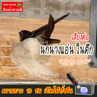 เสียงต่อ นกนางแอ่น ในตึก แฟลชไดร์ฟ USB เสียงดังฟังชัด เสียงน…