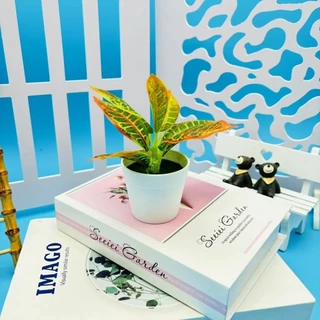 กระถางดอกไม้ประดิษฐ์ บอนไซ สําหรับตกแต่งสวน งานแต่งงาน ปาร์ตี้ DIY 1 ชิ้น