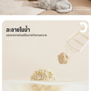 ทรายแมว 6ลิตร ผสมคริสตัล+เบนโทไนท์ ดูดซับ 2 เท่า ปลอดภัยสำหรับแมวทุกวัย 🐾