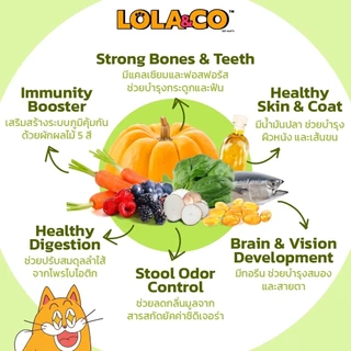 Lola&Co อาหารเม็ดแมว สำหรับแมวโต ปราศจากผลพลอยได้ อุดมด้วยผลไม้ 5 สี ดีต่อสุขภาพ ขนาด 1 kg