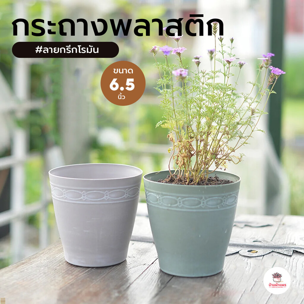 กระถางพลาสติก 6.5 นิ้ว #ลายกรีกโรมัน กระถางพลาสติก กระถางแคคตัส กระถางกระบองเพชร