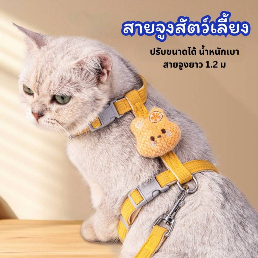 สายจูงสัตว์เลียงขนาดเล็ก สายจูงแมว กระต่าย หมา