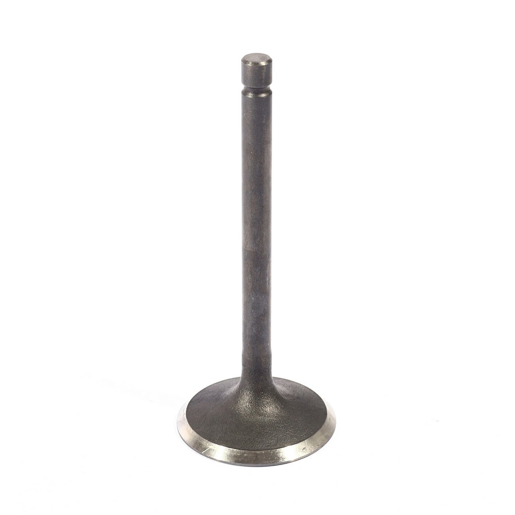 POLO อะไหล่ Valve In ใช้กับเครื่องปั่นไฟ รุ่น GT9000I (โปโล)