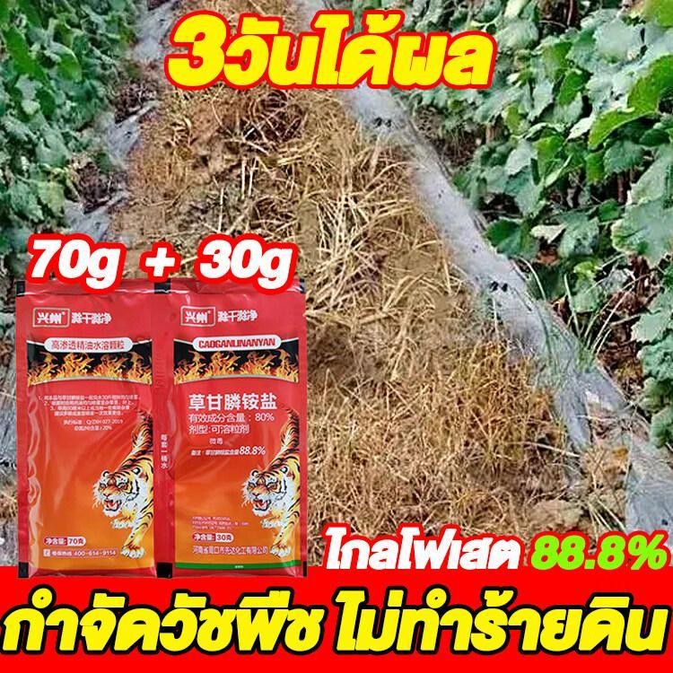 สารกำจัดวัชพืช ผงกำจัดหญ้าและวัชพืช ประสิทธิภาพเยี่ยม น้ำหนัก 100g