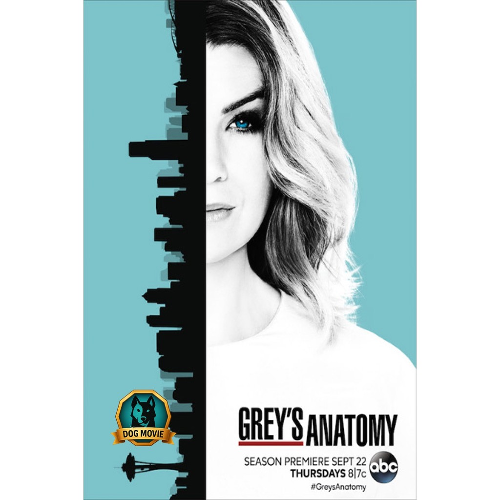 DVD Grey s anatomy Season 13 แพทย์มือใหม่หัวใจเกินร้อย ปี 13 ( 24 ตอนจบ )