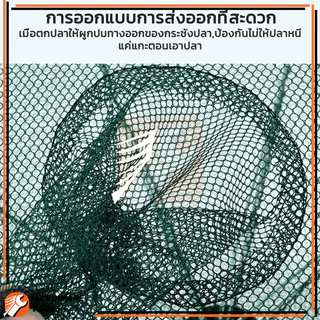 กรงปลา ที่ดักปลา กรงกุ้ง มุ้งกุ้งฝอย น้ำหนักเบาและพกพาสะดวก มีความยืดหยุ่นและทนแรงดึง สวย กรอบหนา ทนทานต่อการสึกหรอ
