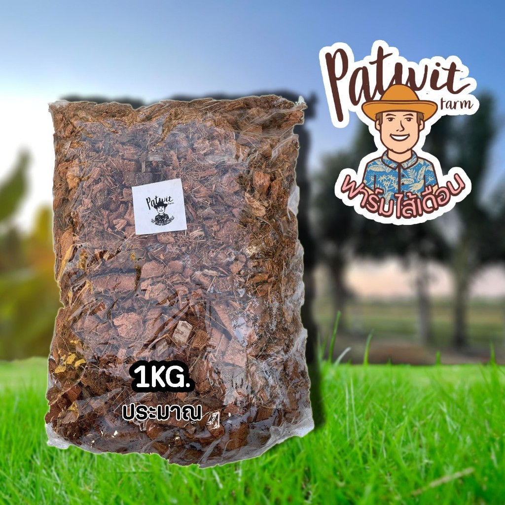 (2ถุง50)(ส่งฟรีทักแชท)มะพร้าวสับ กาบมะพร้าวสับ 1KG. รองก้นหลุม ก้นกระถาง ผสมดินปลูก เพิ่มตวามร่วนซุย เพิ่มช่องว่างในดิน - รูปที่ 3