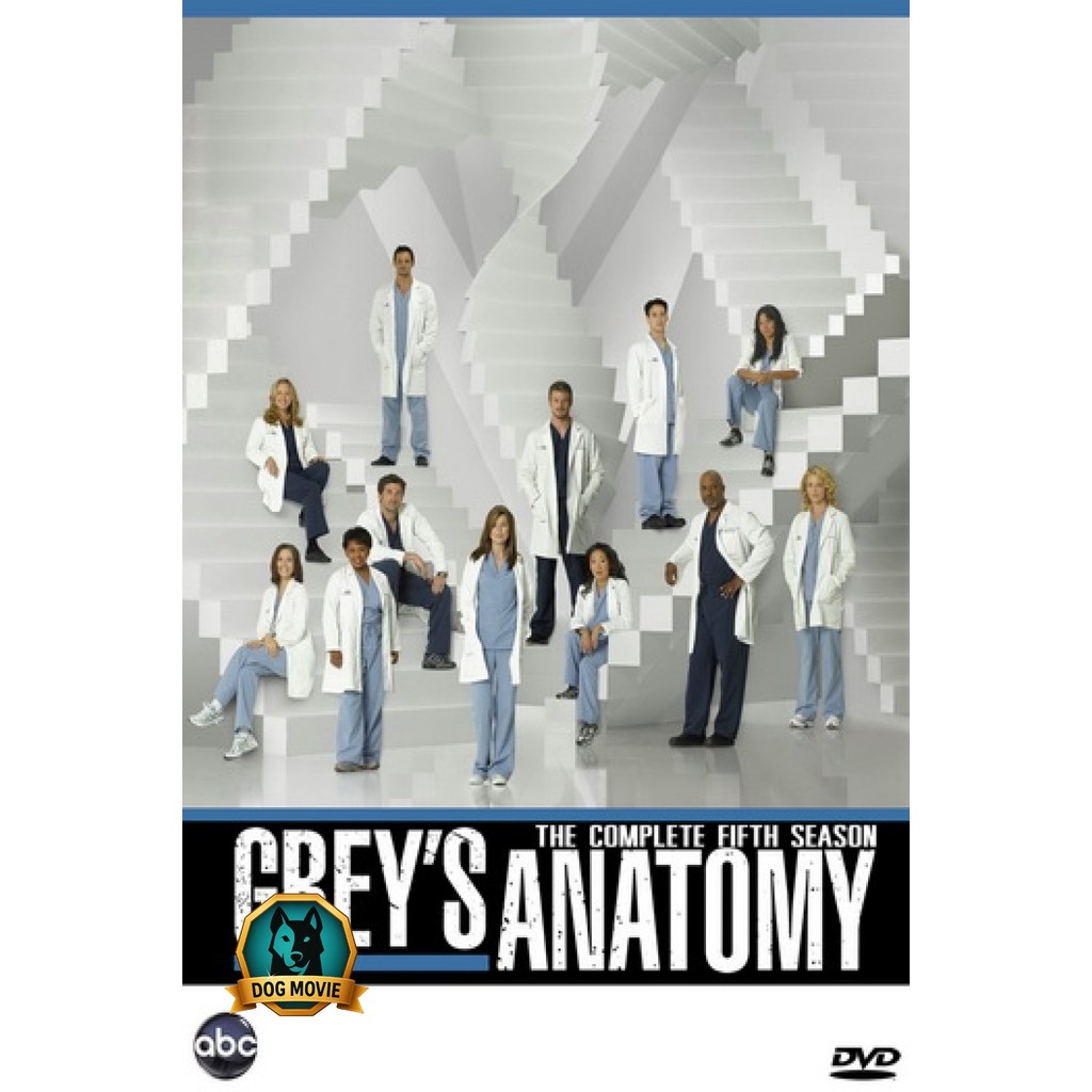 DVD Grey s Anatomy Season 5 แพทย์มือใหม่หัวใจเกินร้อย ปี 5