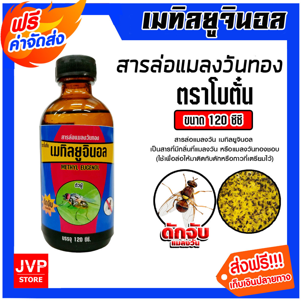 สารล่อแมลงวันทอง เมทิลยูจินอล 120cc. ยี่ห้อ โบตั๋น  ล่อแมลงวันทอง น้ำหอมล่อแมลงวันทอง ตัวล่อแมลงวันทอง สารล่อแมลงวัน - รูปที่ 5