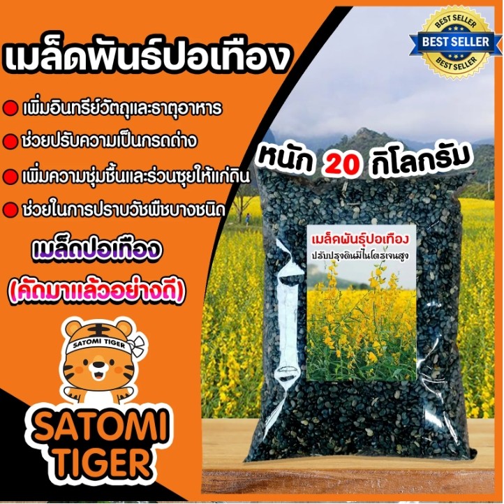 เมล็ดปอเทือง มีให้เลือก 20-25กก. ประดับสวยงาม ดอกเหลือง ไถกลบเป็นพืชบำรุงดิน เป็นปุ๋ยอินทรีย์