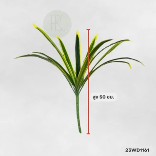 ใบเตยต้น 12 ใบ สูง 50 cm. (ใบเตยอย่างดี 1ต้นมี 12 ใบดัดได้) ใช้ตกแต่ง ใบไม้ปลอม ใส่แจกัน สวย สีสด ทน