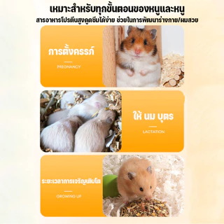 พร้อมจัดส่ง หนอนอาหาร หนอนอบแห้ง หนอนอาหารแห้ง อาหารหนูแฮมเตอร์ สัตว์เลี้ยงแมลงแห้ง หนอนนก 1500ml
