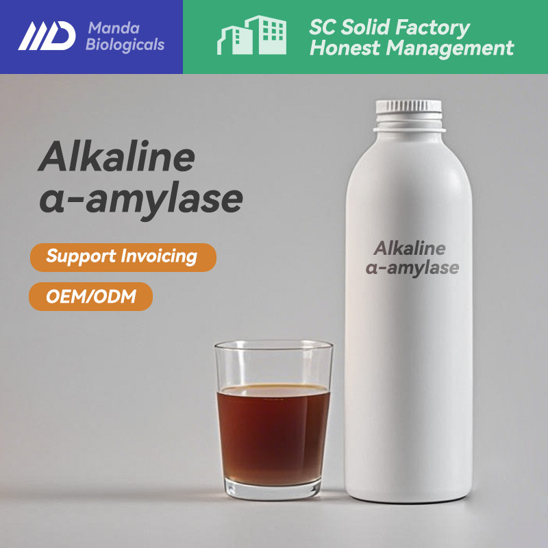 วัตถุดิบอัลคาไลน์ Amylase Powder Liquid Active Enzyme 10000 u/g เกรดอุตสาหกรรมสําหรับซักผ้า 1 กก. OE