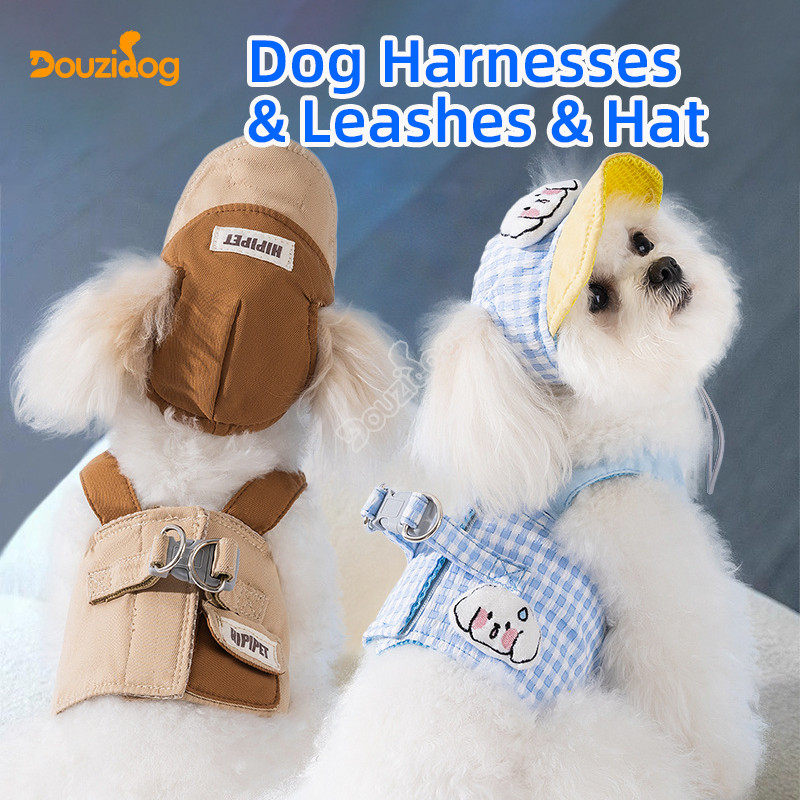 Dog Outing Strap Hat Chest Strap Leash Set Small Medium-Sized Dog Teddy Cat Pet Supplies