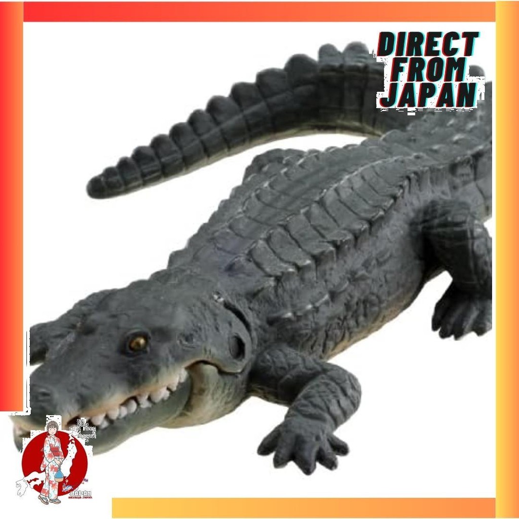 【Direct from Japan】Ania AS-08 Nile Crocodile