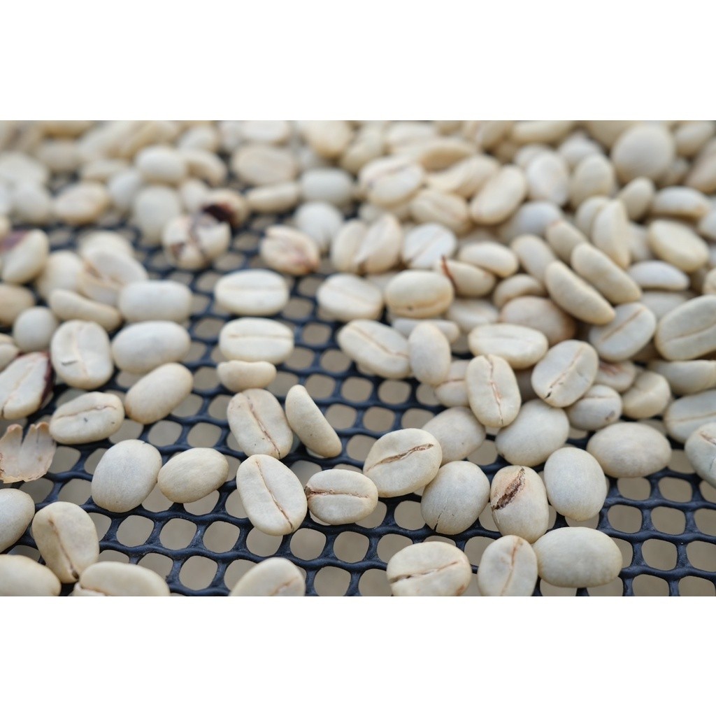 Mixed Fruit Coffee เมล็ดกาแฟกลิ่นหอมผลไม้สุกมาเต็มตระกร้า  หวานอมเปรี้ยว สดชื่นด้วยผลไม้รวม - รูปที่ 4