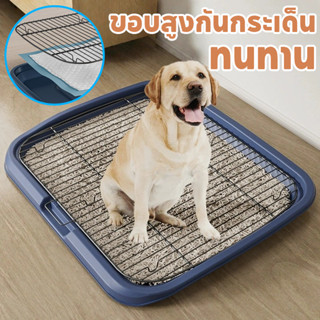 COD ถาดรองฉี่สุนัข ห้องน้ำสุนัขขนาดใหญ่ 2 ชั้น ห้องน้ำสุนัข …