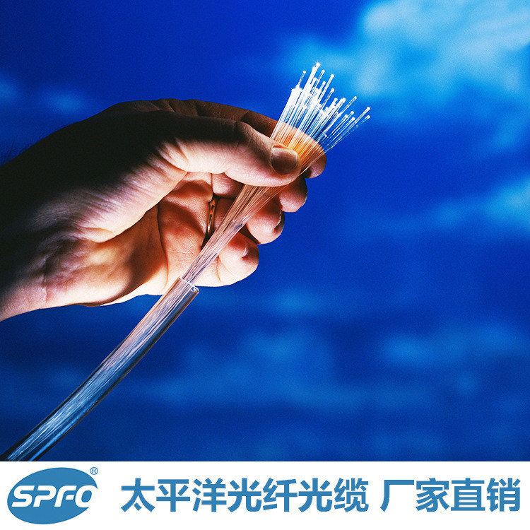 Shandong Pacific Optical Fiber G652D Single Mode Optical Fiber OTDR วัด B1.3 Optical Fiber Low Loss 