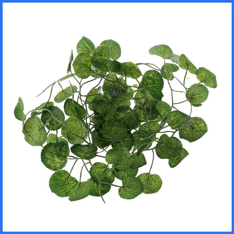 Con ปลาสําหรับถังตกแต่งภูมิทัศน์ Terrarium Habitat Decor สําหรับปีนเขา
