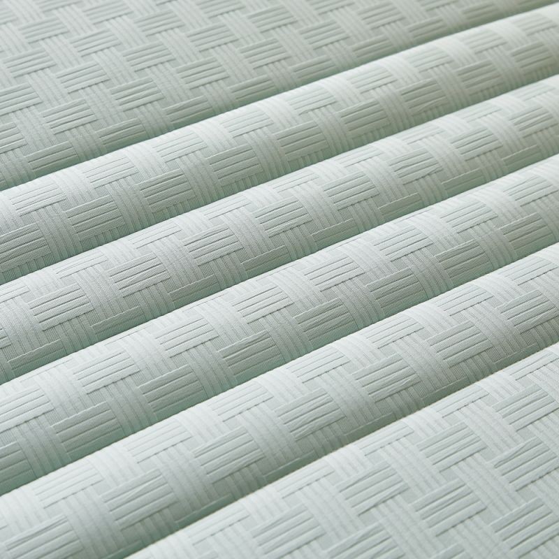 การขนส่งอย่างรวดเร็ว