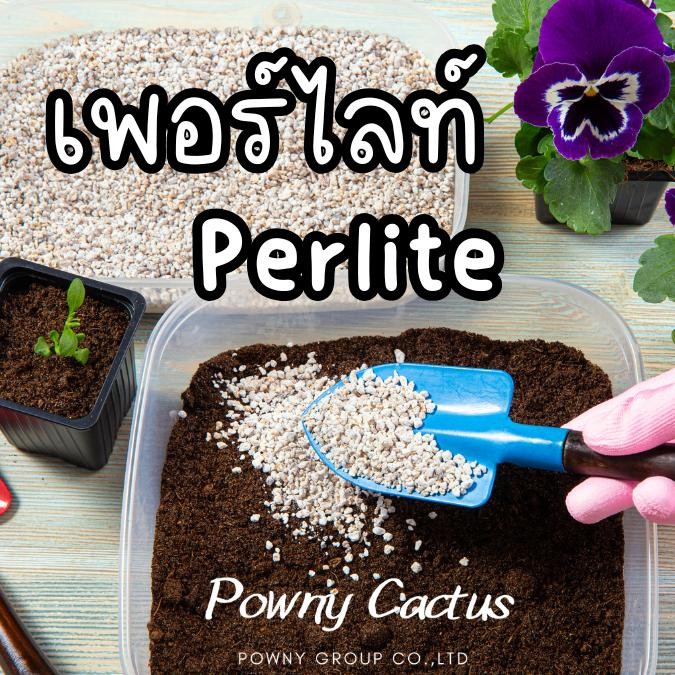 Perlite (เพอร์ไลท์) บรรจุ 1 ลิตร วัสดุปลูก ล็อตใหม่ฝุ่นน้อย
