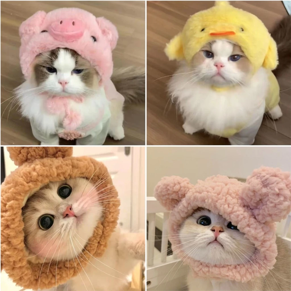 5ประเภทของหมวกสัตว์เลี้ยงสําหรับสุนัขและแมวที่มีหมูไก่หมีปลาออกแบบ