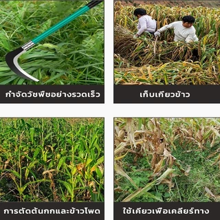 เคียว ขนาด 40cm/60cm เคียวเหล็กแมงกานีส เคียวเกี่ยวหญ้า เคียวเกี่ยวข้าว มีดถางหญ้า คียวตัดกิ่งไม้ เคียวเหล็กแมงกานีส