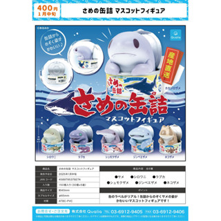 [BTF] มีในสต็อก ของเล่นแคปซูล QUALIA จากญี่ปุ่น รูปฉลามน่ารั…