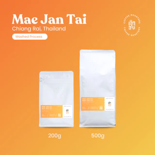 เมล็ดกาแฟแม่จันใต้ Washed Process เมล็ดกาแฟคั่วอาราบิก้า คั่วใหม่บดฟรี Cherdchai Coffee Roasters