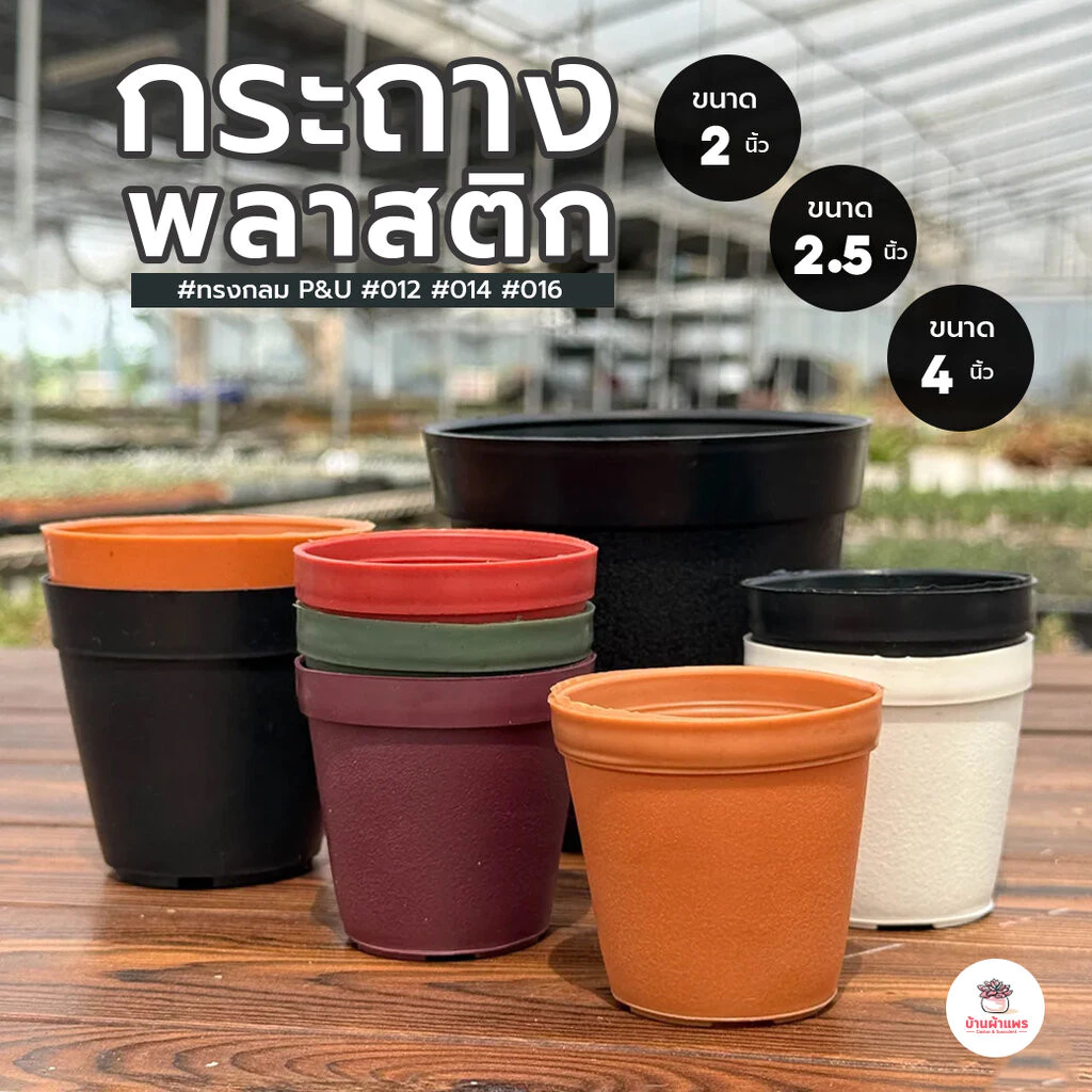 กระถางกลม P&U #012 #014 #016 2 นิ้ว - 4 นิ้ว กระถางแคคตัส กระถางกระบองเพชร