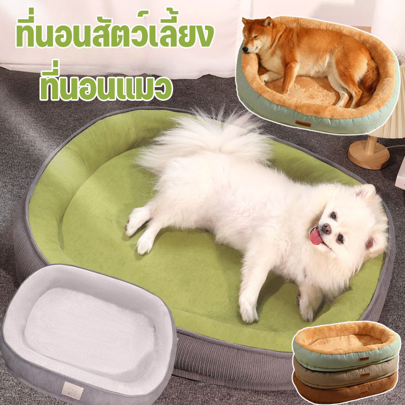 ที่นอนขอบตั้ง 3 ขนาด ที่นอนสัตว์เลี้ยง ที่นอนแมว เตียงสุนัข เตียงแมว เบาะสัตว์เลี้ยง นุ่มสบาย