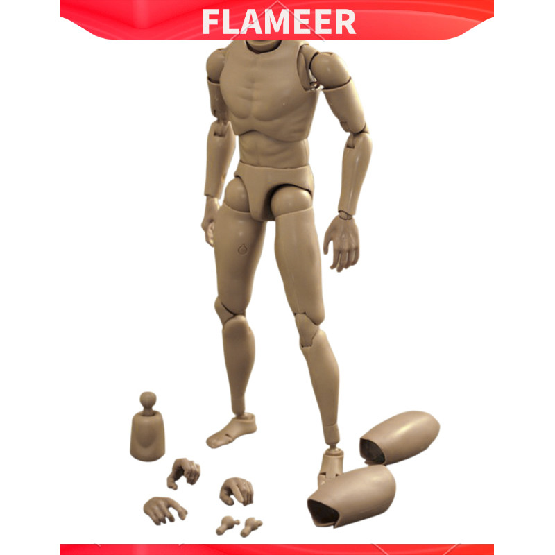 [FLAMEER] Narrow Shoulder 1:6 Action Figure Male Body Model Toys for TTM18 TTM19 Accs