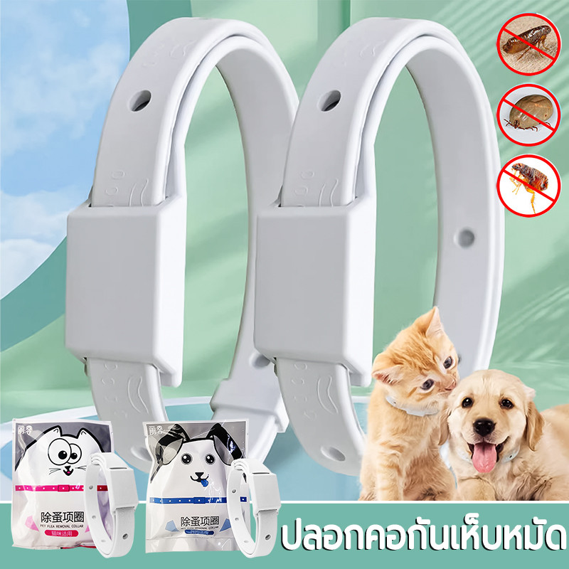 ปลอกคอกันเห็บหมัด ใช้งานได้ถึง 8 เดือน ปลอกคอสัตว์เลี้ยง แมว สุนัข ปลอกคอกำจัด