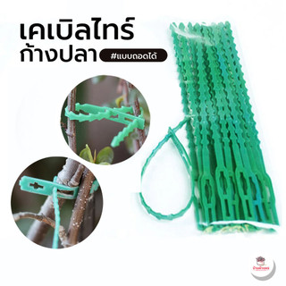 เคเบิลไทร์ก้างปลา สายรัดไนลอน แบบถอดได้ สายรัดกิ่งไม้ สายรัดไม้เลื้อย