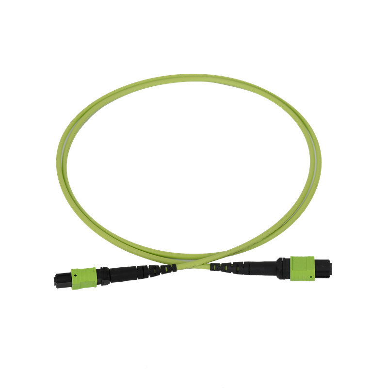 จัมเปอร์ไฟเบอร์ออปติก 50/125 OM5 Multimode MPO 12Fiber 3.0mm PVC OFNR