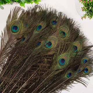 10 ชิ้น/ล็อต 70-90 ซม.ธรรมชาติจริงนกยูง Feathers สําหรับเสื้อผ้าหัตถกรรมยาว Feather นกยูงตกแต่ง Plumes DIY Carnaval อุปกรณ์เสริม