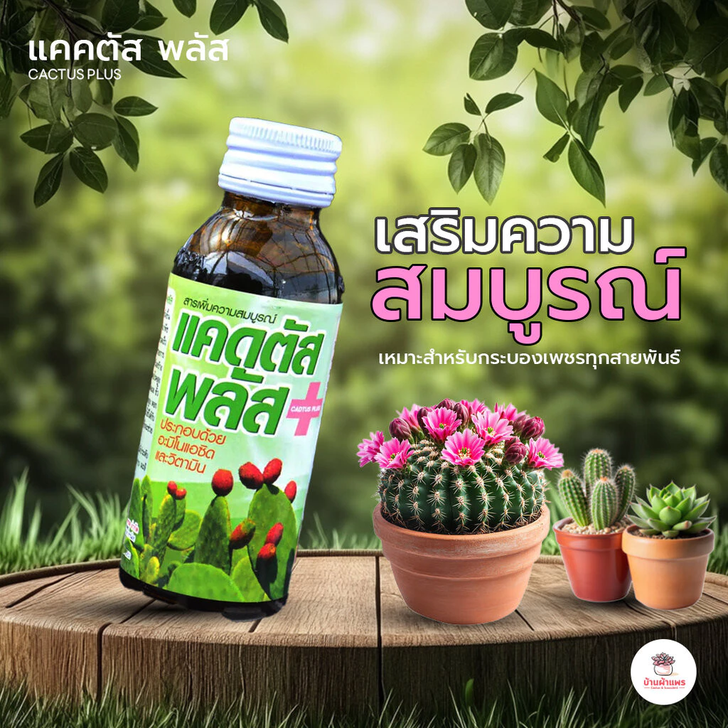 แคคตัส พลัส สารเพิ่มความสมบูรณ์ วิตามินสำหรับแคคตัส