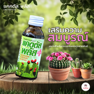 แคคตัส พลัส สารเพิ่มความสมบูรณ์ วิตามินสำหรับแคคตัส